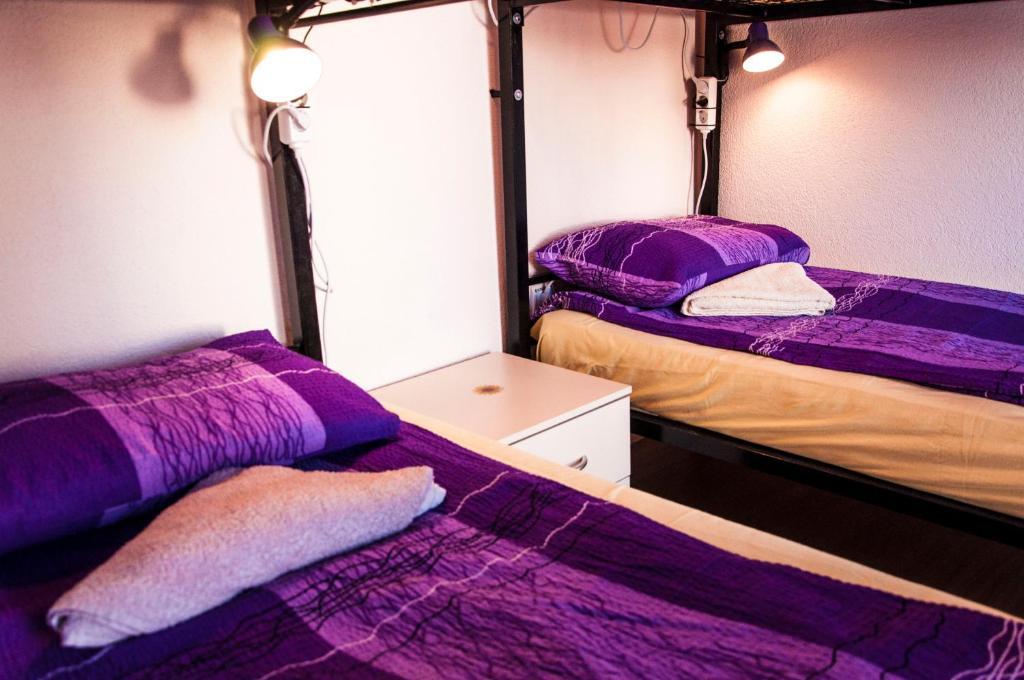 Goldy Hostel بيتولا الغرفة الصورة